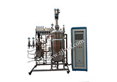 20L-200L二级发酵罐