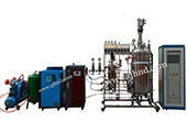 20L-200L中试发酵罐成套系统