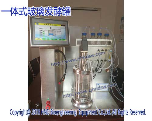 一体式5L玻璃发酵罐
